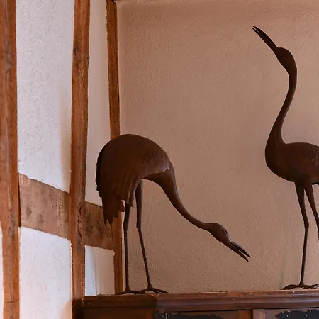 Apartman L'harmonie Des Tanneurs Colmar