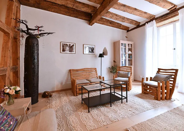 L'harmonie Des Tanneurs Apartment *