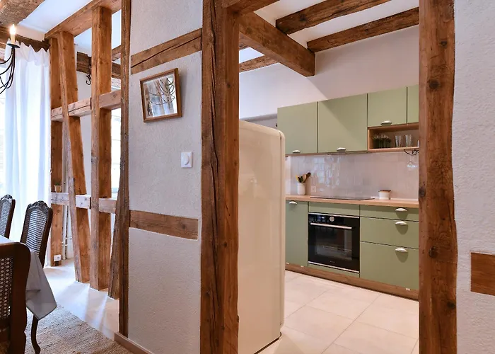 L'harmonie Des Tanneurs Apartment Colmar