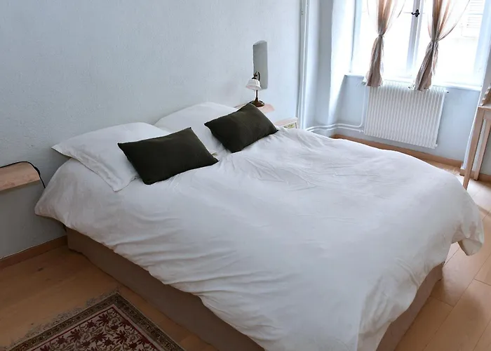 Apartment L'harmonie Des Tanneurs Colmar